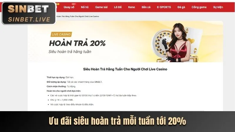 Hoàn trả cược Vin VIP